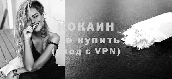 шишки Вязники