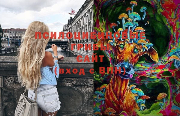 МДМА Вяземский